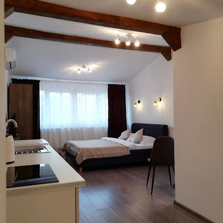 Cara Studio Cu Parcare - Cluj-Napoca Zona Republicii 外观 照片